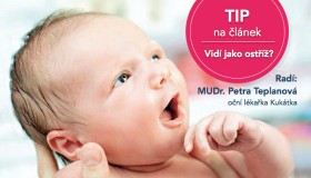 TIP NA ČLÁNEK: Vidí jako ostříž?